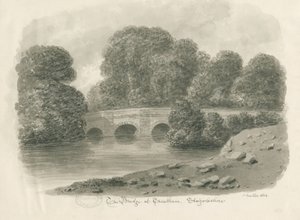 Trentham Hall - Bridge: seepiapesupiirros, 1844