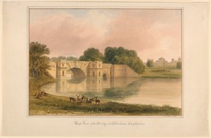 West View of Bridge Blenheimissa, Oxfordshire tekijältä John Buckler, F.S.A.