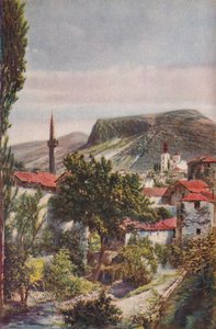 "Bosnia ...", 1920 tekijältä John Bushby