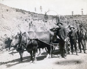Kultakuume Etelä-Dakotassa tekijältä John C. H. Grabill