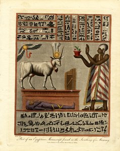 Osa egyptiläisestä käsikirjoituksesta, joka löytyi muumion uumenista. tekijältä John Chapman