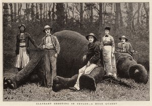 Elefanttien ammunta Ceylonissa, valtavassa louhoksessa