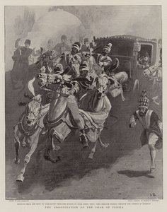 Persian shaahin salamurha