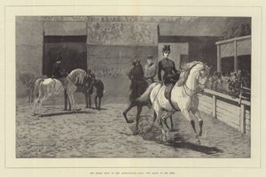 Hevosnäyttely Maataloushallissa, Arabit kehässä
