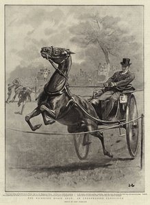 Richmond Horse Show, harjoittelematon näyttely