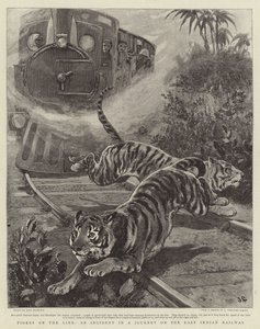 Tigers on the Line, välikohtaus matkalla Itä-Intian rautateillä