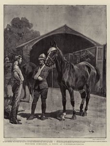 Haavoittuneet toverit, kohtaus Pietermaritzburgissa