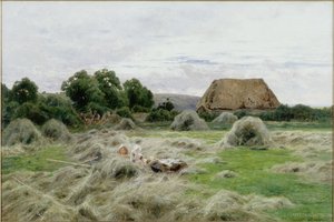 Heinäpelto