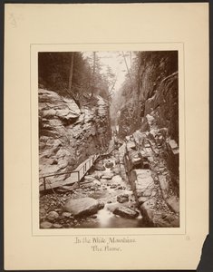 Valkoisilla vuorilla/The Flume tekijältä John Coates Browne