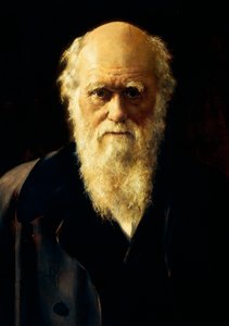 Charles Darwinin muotokuva