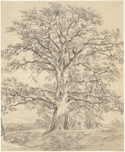 Suuri tammi tekijältä John Constable