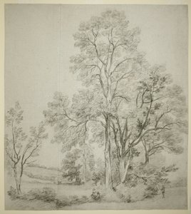Jalavapuu (recto); Tutkimus East Bergholtista kirkon kanssa (käänteinen) tekijältä John Constable
