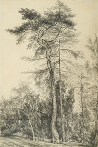 Kuuset, noin 1833 tekijältä John Constable