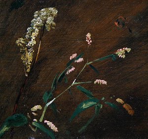 Kukkatutkimukset: Persicaria ja Meadowsweet (öljy kankaalle asetettu paneeliin) tekijältä John Constable