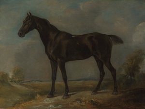 Golding Constablen musta ratsastushevonen tekijältä John Constable