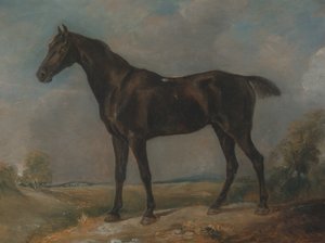 Golding Constablen musta ratsastushevonen, vuosina 1805-1810. tekijältä John Constable