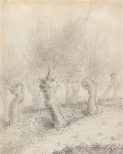 Latvotut pajut tekijältä John Constable