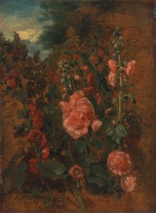 Tutkimus Hollyhocks tekijältä John Constable