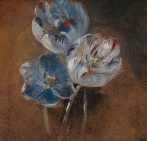 Tutkimus kolmesta papukaijatulppaanista tekijältä John Constable