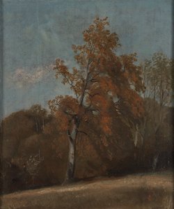Tuhkapuun tutkimus tekijältä John Constable