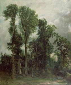 Puut Hampsteadissa tekijältä John Constable