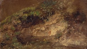 Aluskasvillisuus, n. 1821 (öljy paperille aluksella) tekijältä John Constable