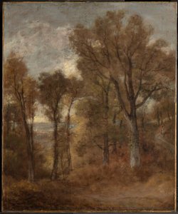 Metsämaisema, josta avautuu näkymä Dedham Valeen tekijältä John Constable