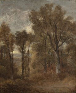 Metsämaisema Dedham Valessa, n. 1802-03 tekijältä John Constable