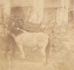 [Ihminen ja hevonen, hallitustalo, Allahabad], 1858. tekijältä John Constantine Stanley