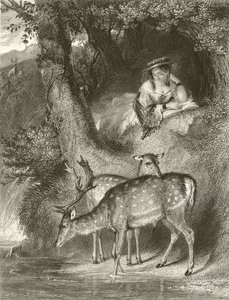 Vuoren yksinäisyys tekijältä John Corbould