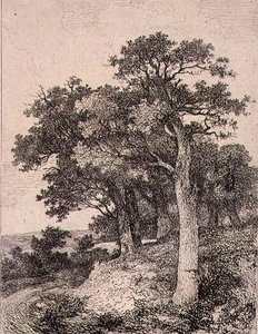 Colneyssa, pubissa. kirjoittanut J. & W. Freeman tekijältä John Crome