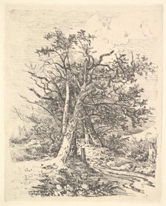 Puunrungot ja Lane, 1811-13. tekijältä John Crome