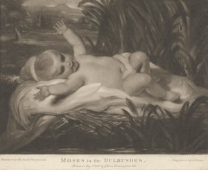 Mooses härkäreissa