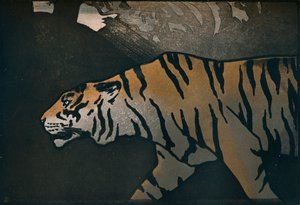 Tiger, c1900