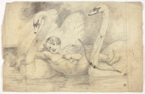 Amor ja joutsenet tekijältä John Downman