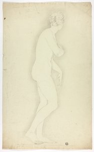 Venus de