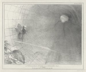 Talleyrand als een spin in zijn web, 1832 Kunnioitettava hämähäkki ja sumiseva kärpäs. (Fable) (otsikko esineessä) Poliittiset luonnokset (sarjan nimi) tekijältä John Doyle