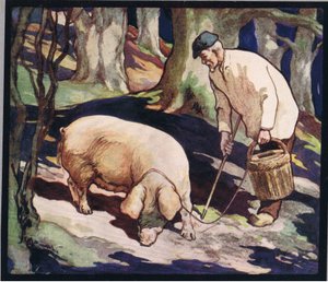 Possu etsii tryffeleitä, kuvitus Gladys Davidsonin vuonna 1919 julkaistusta "Helpers Without Hands" -kirjasta (värilitho)