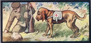 Ambuland-verikoira, kuvitus Gladys Davidsonin teoksesta "Helpers Without Hands", julkaistu vuonna 1919 (värilitho)