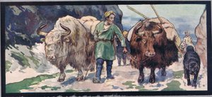 Iacs de muntanya, il·lustració de 