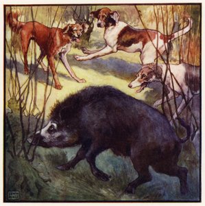 Laskee päänsä hieman alas, hän tuli suoraan minua kohti (väri litho)