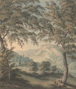 Matlock High Tor, Derbyshire tekijältä John Emes