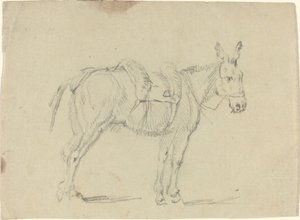 Aasi venyttelee takajalkaa tekijältä John Flaxman