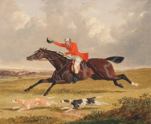 Foxhunting: Rohkaisevat koirat