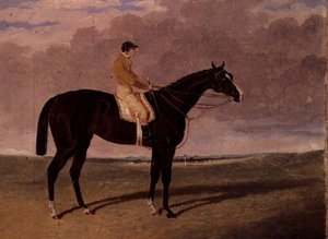 Queen of Trumps, lahden kilpahevonen jockeyn kanssa