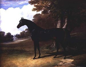 Gaucus, tumma lahtihevonen metsäisessä maisemassa (öljy kankaalle) tekijältä John Frederick Herring Senior
