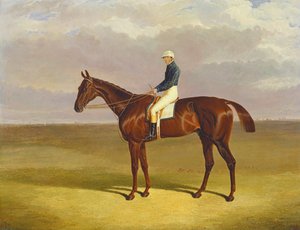 "Margrave" James Robinson Upin kanssa, 1833 tekijältä John Frederick Herring Senior