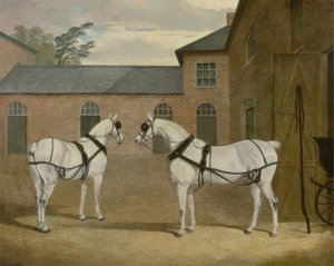 Mr. Sowerbyn harmaat vaunuhevoset hänen linja-autopihallaan Putteridge Buryssa, Hertfordshiressä, 1836
