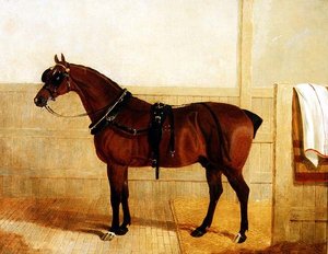 Palkinto Shire Horse valjaissa tekijältä John Frederick Herring Senior