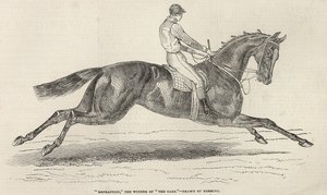 "Refraction", "The Oaksin" voittaja, "The Illustrated London News", 7. kesäkuuta 1845 tekijältä John Frederick Herring Senior